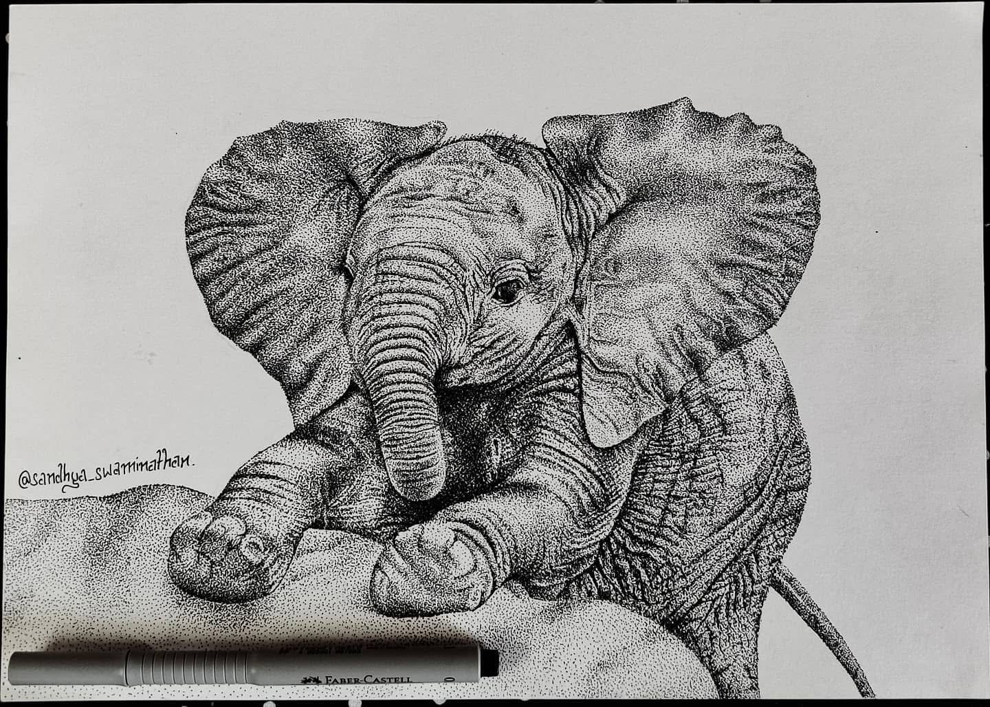Elephant Baby — pencil by Sandhya Swaminathan
